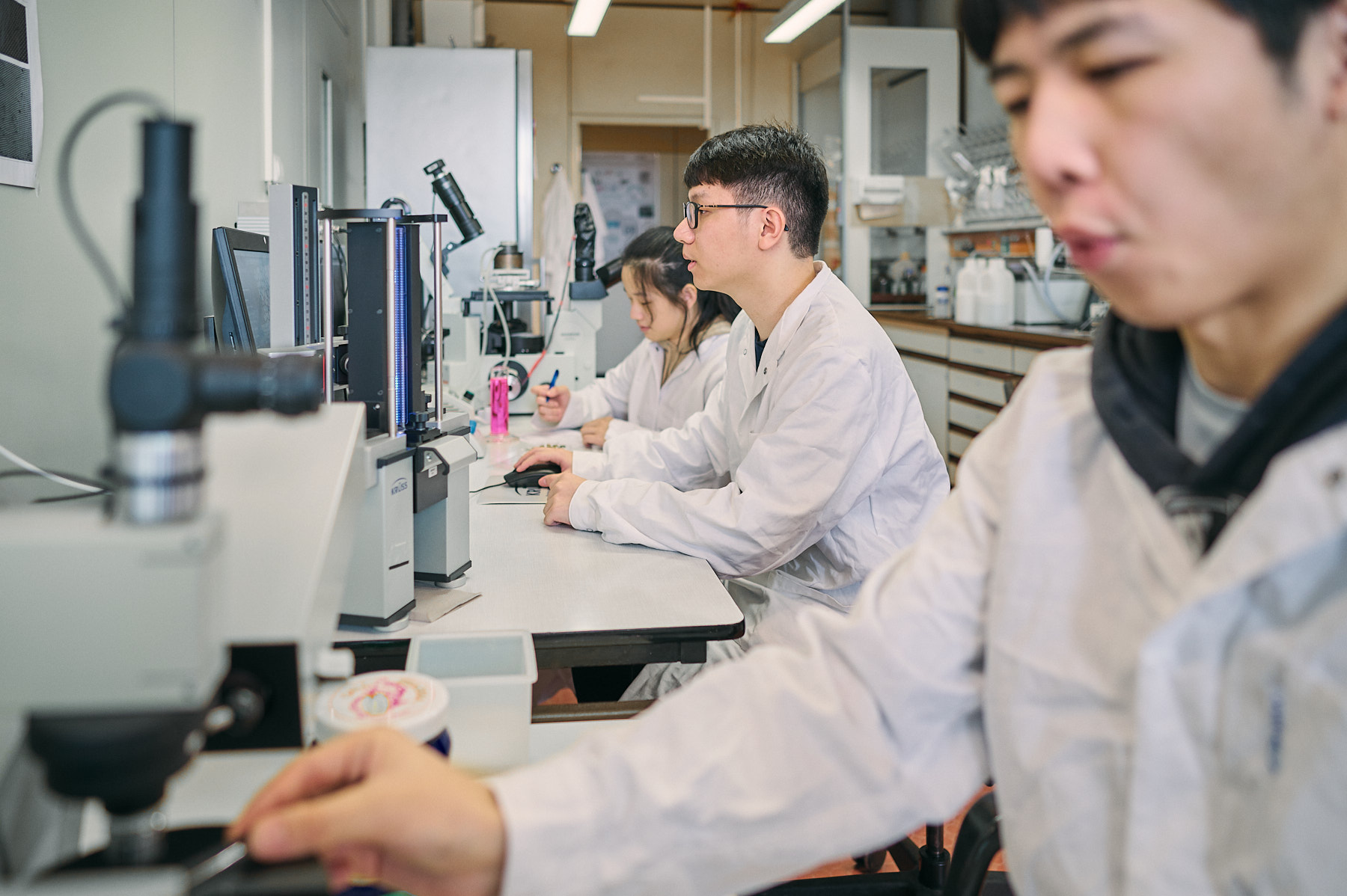 Studierende im Labor