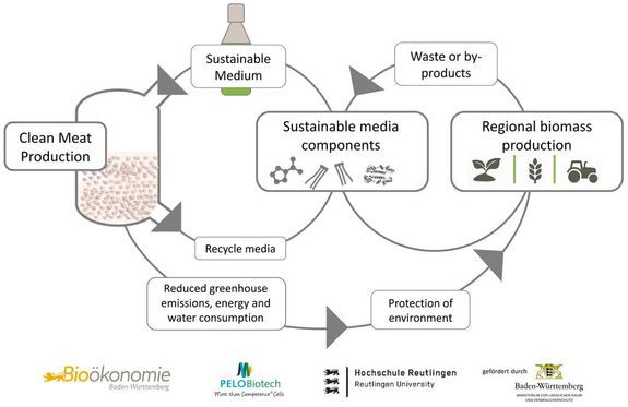 Poster Nachhaltiges Fleisch