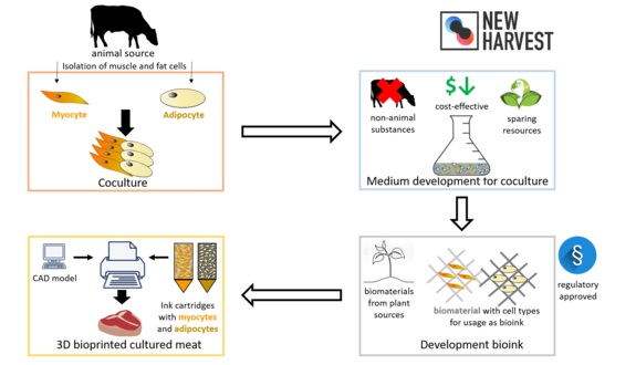 Poster Serumfreies 3D-gedrucktes Fleisch