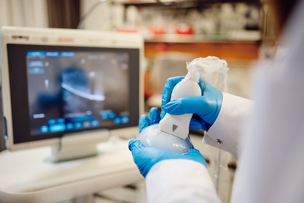 Forschung in der Lehre